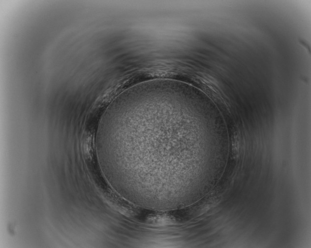 X0000103240503200809041050