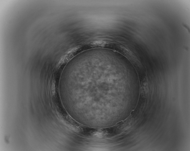 X0000103240504200809041050