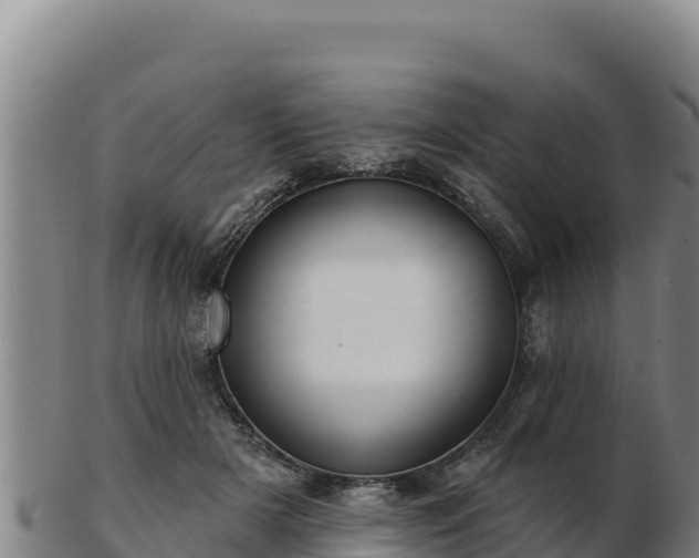 X0000103240505200809041050