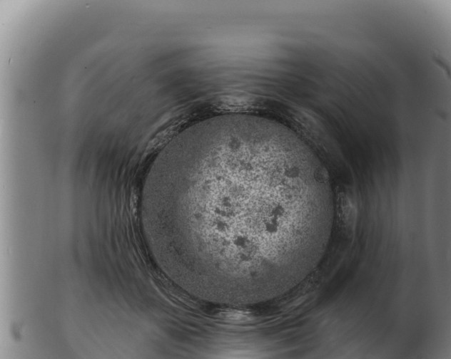 X0000103240507200809041050