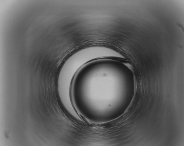 X0000103240508200809041050