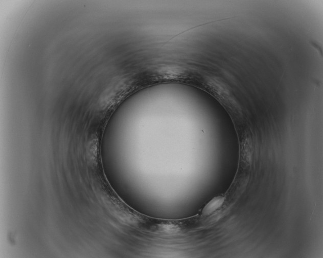 X0000103240509200809041050