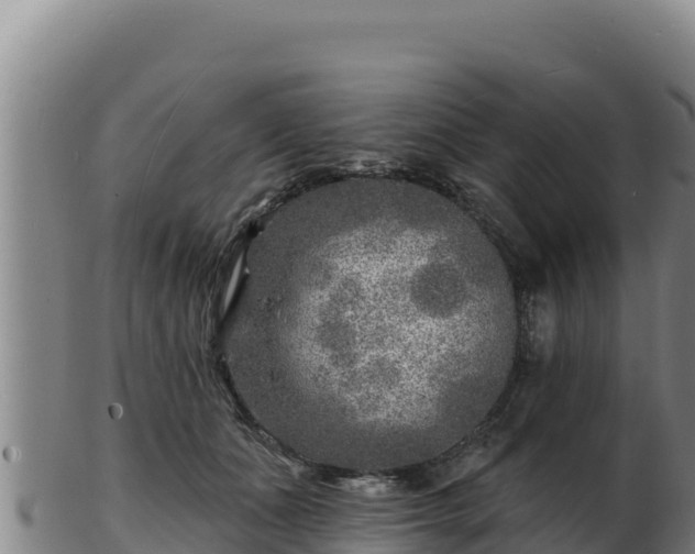 X0000103240511200809041050