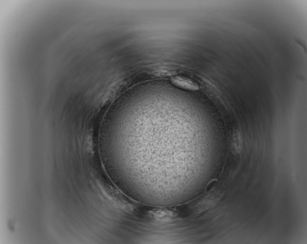 X0000103240512200809041050