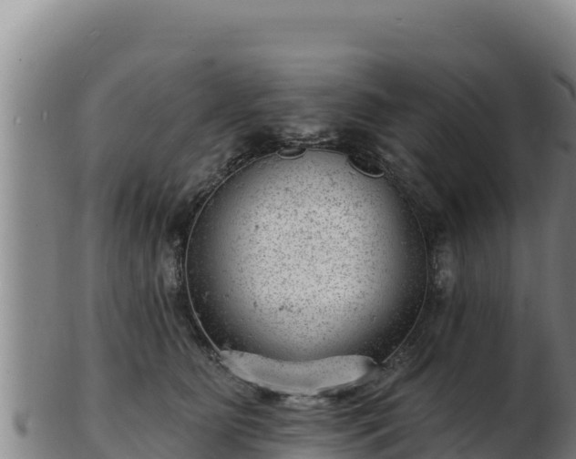 X0000103240515200809041050