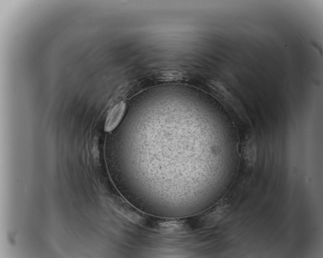 X0000103240516200809041050