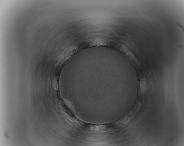 X0000103240517200809041050