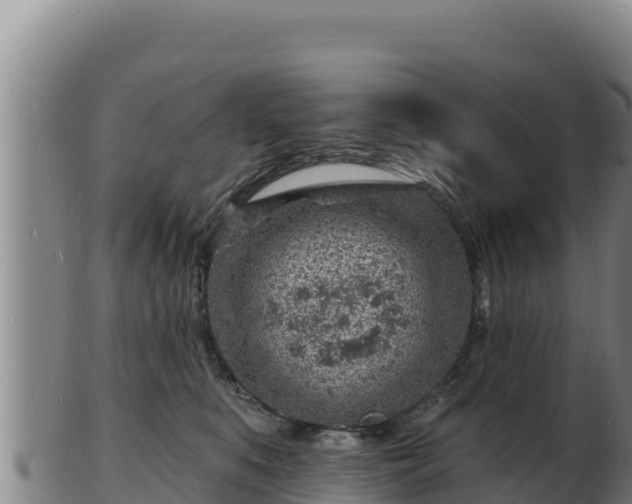 X0000103240519200809041050