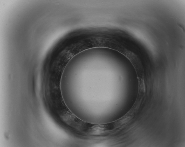 X0000103240526200809041049