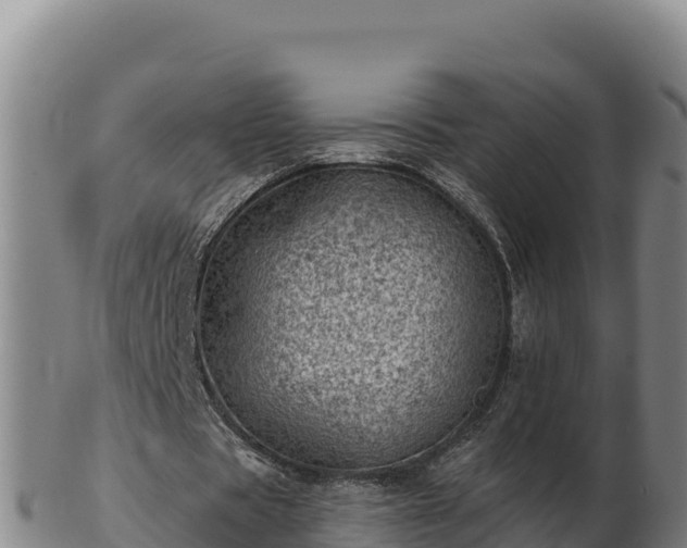 X0000103240529200809041049