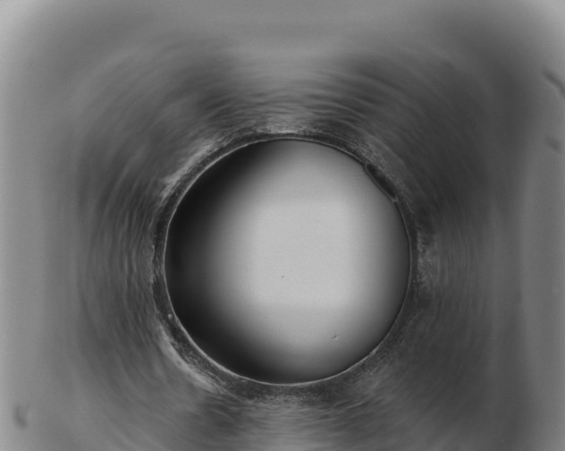 X0000103240530200809041049