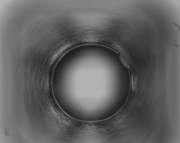 X0000103240531200809041049