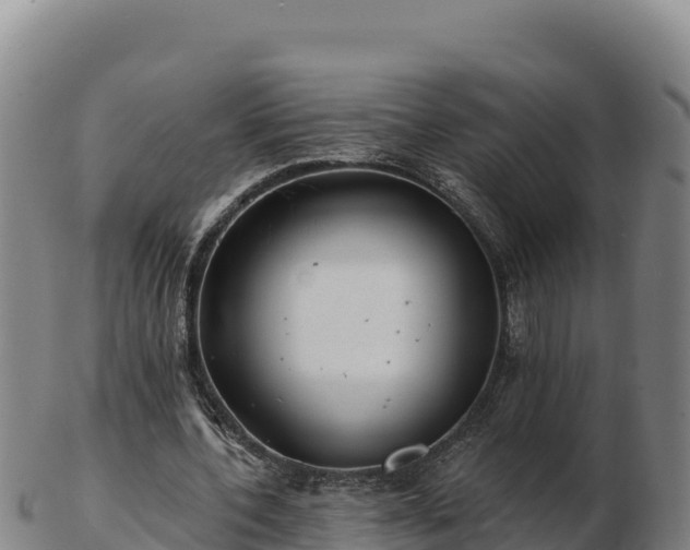 X0000103240532200809041049