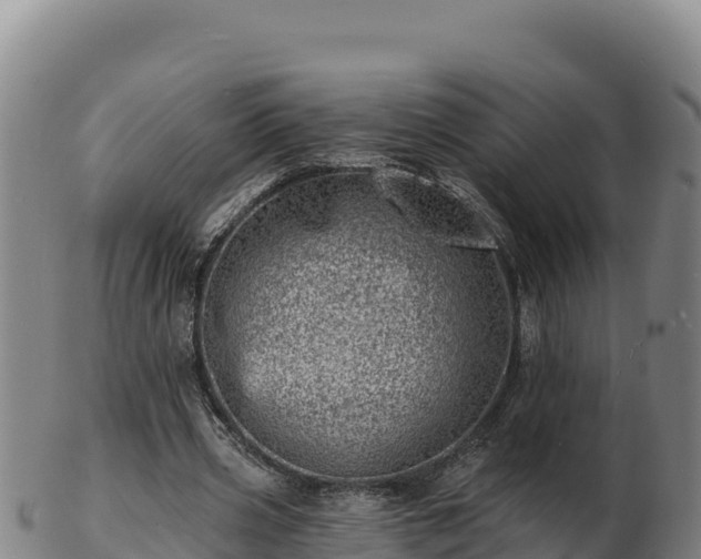 X0000103240533200809041049