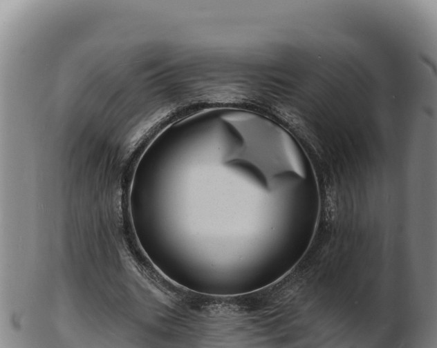 X0000103240535200809041049