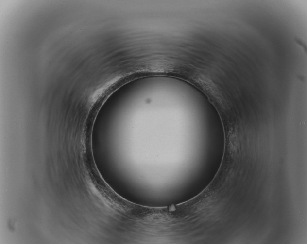 X0000103240536200809041049