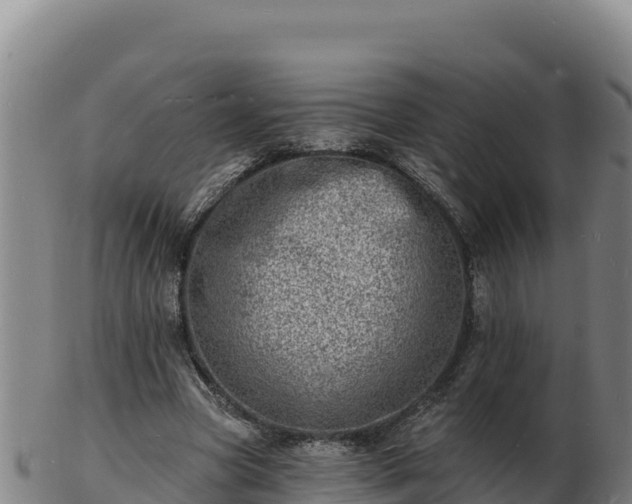 X0000103240537200809041049