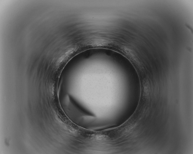 X0000103240539200809041049