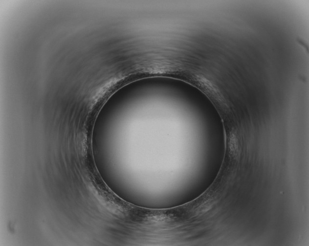 X0000103240540200809041049