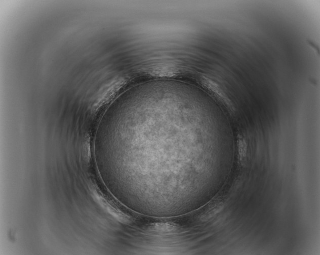 X0000103240541200809041049