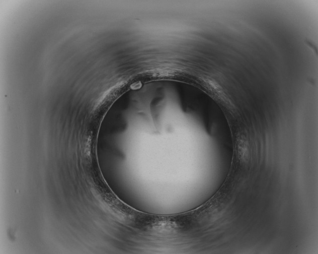 X0000103240543200809041049