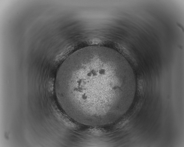 X0000103240545200809041049