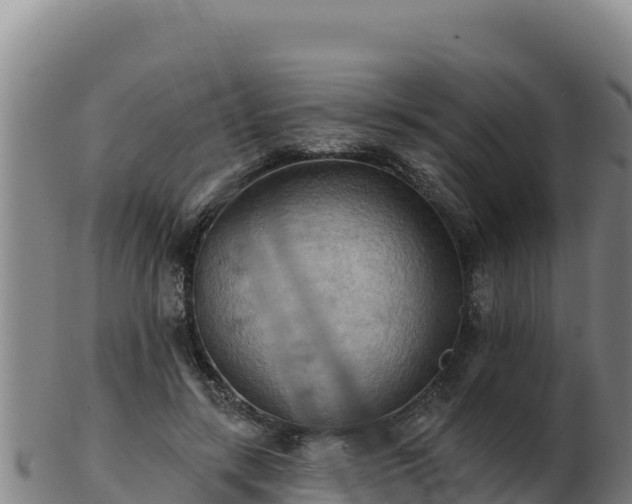 X0000103240547200809041049