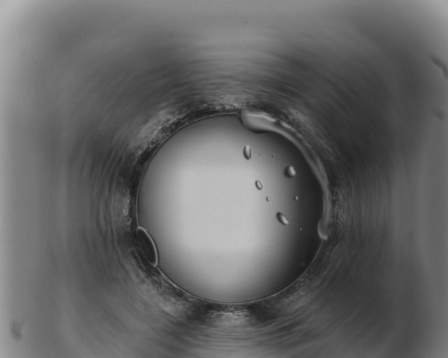 X0000103240548200809041049