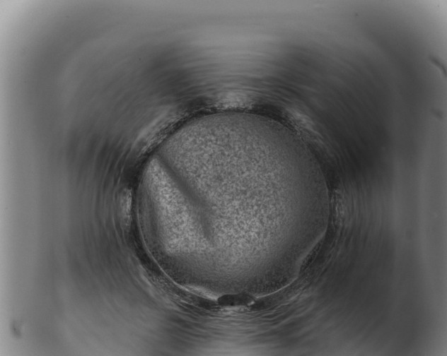 X0000103240550200809041049