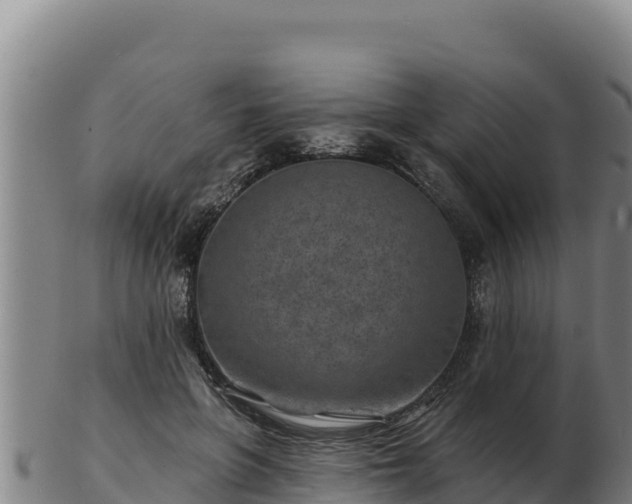 X0000103240551200809041049