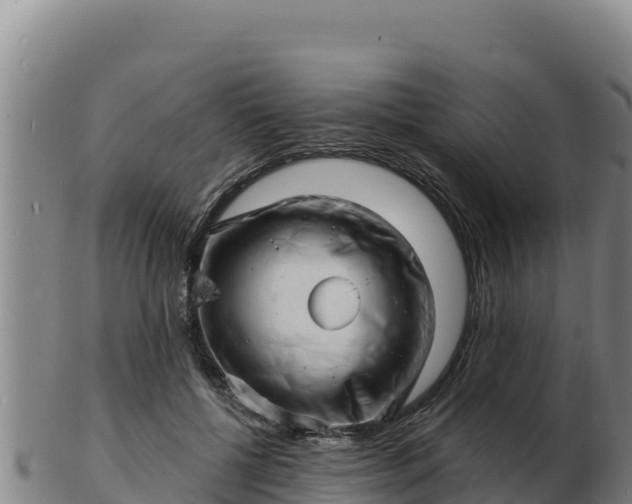 X0000103240552200809041049