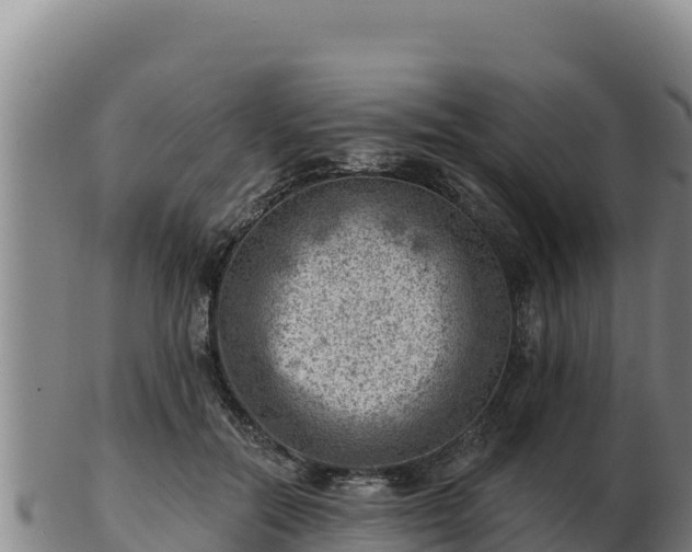 X0000103240554200809041049