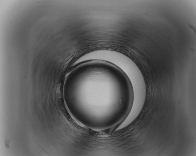 X0000103240560200809041049