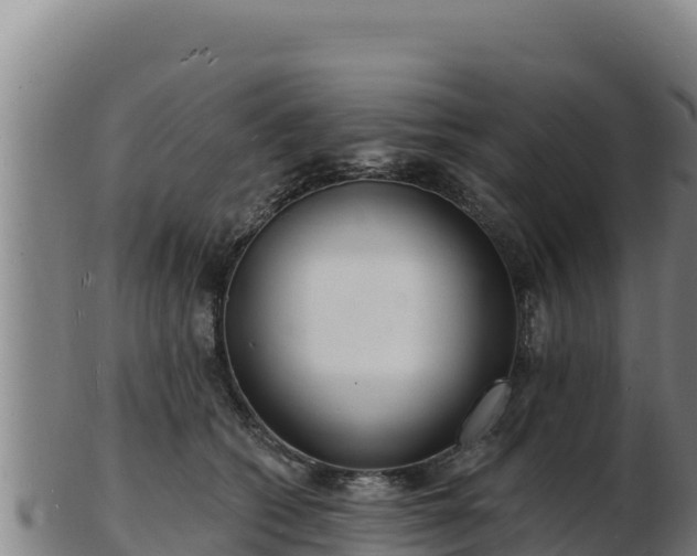 X0000103240562200809041049