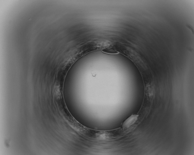 X0000103240564200809041049