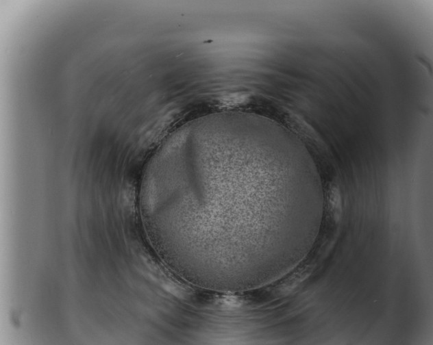 X0000103240565200809041049