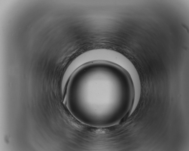 X0000103240566200809041049