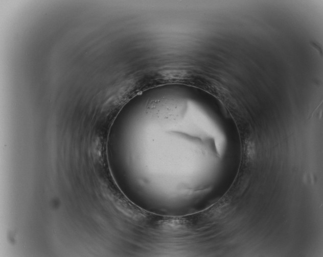 X0000103240567200809041049