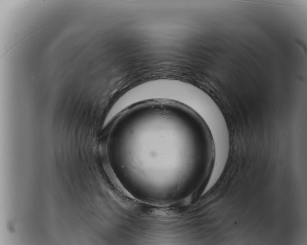 X0000103240568200809041049