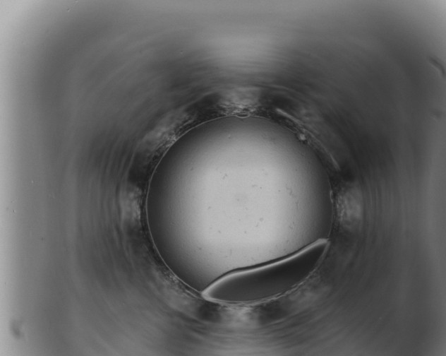 X0000103240570200809041049