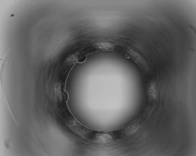 X0000103240572200809041049