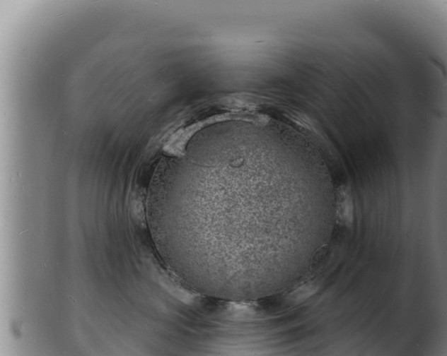 X0000103240573200809041049