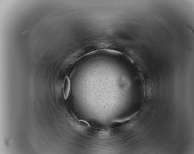 X0000103240574200809041049