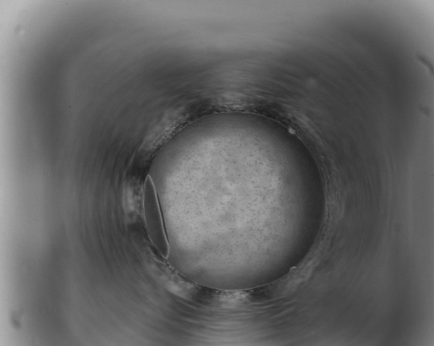 X0000103240576200809041049