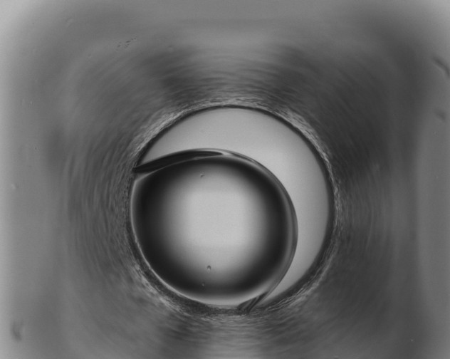 X0000103240577200809041049