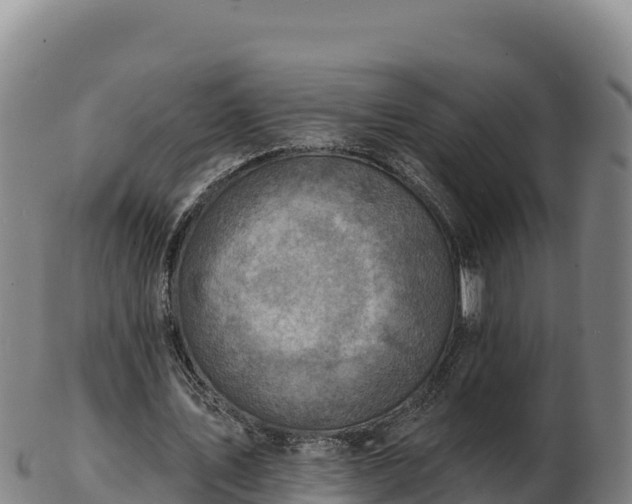 X0000103240579200809041049