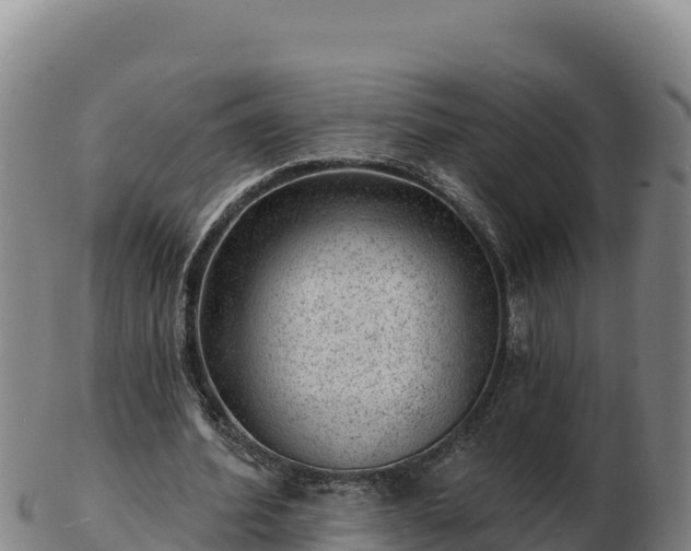 X0000103240580200809041049