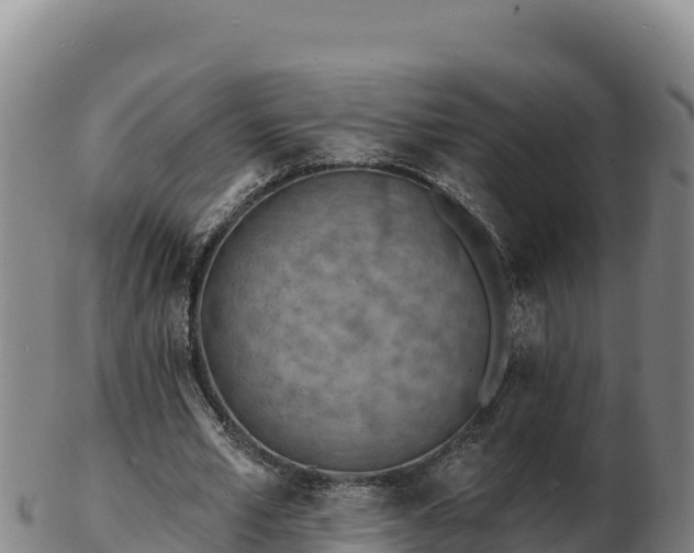 X0000103240581200809041049