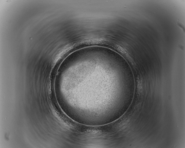 X0000103240582200809041049