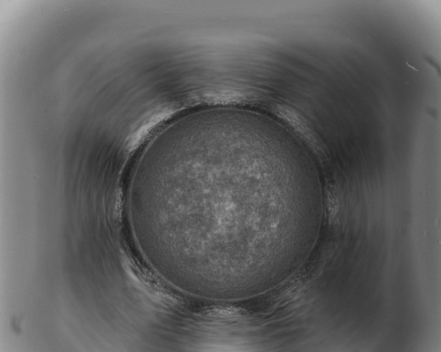 X0000103240583200809041049